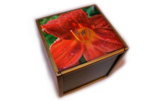 ZielonaKwiatyCzerwone_06_L